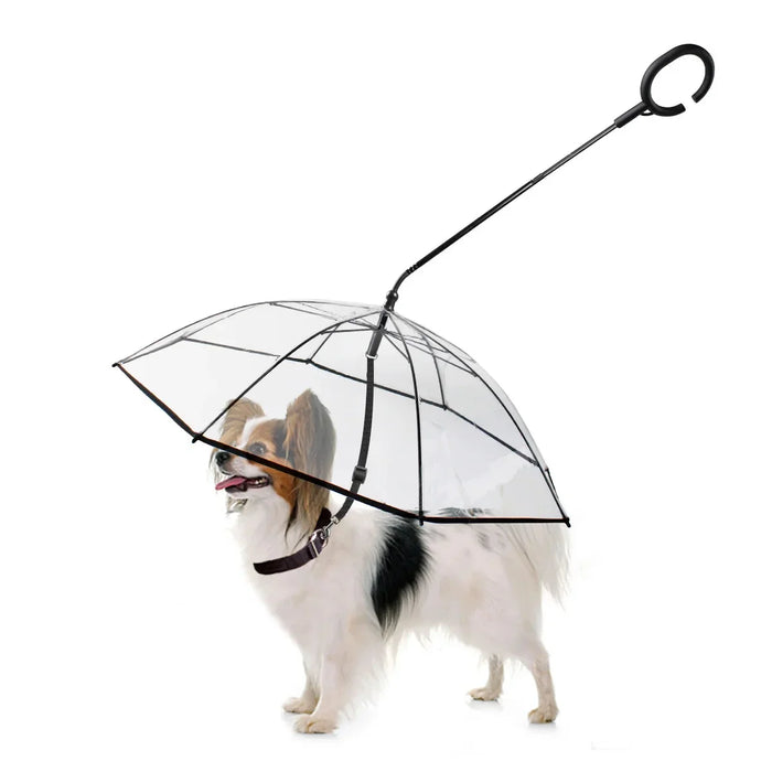 Regenschirm fuer Hunde